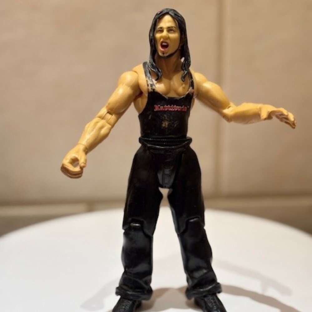 1999 WWE WWF Matt Hardy Mattitude Jakks Titan Tron Live Wrestling Action Figure